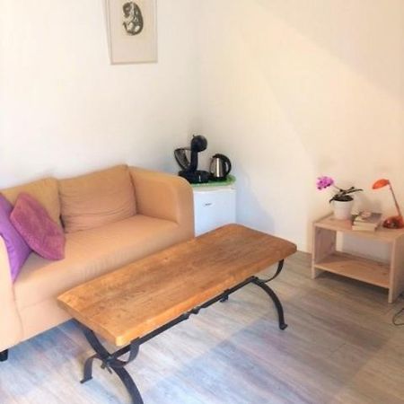 Prune D'Ente - B&B Las Coussoulesses Anthe Luaran gambar